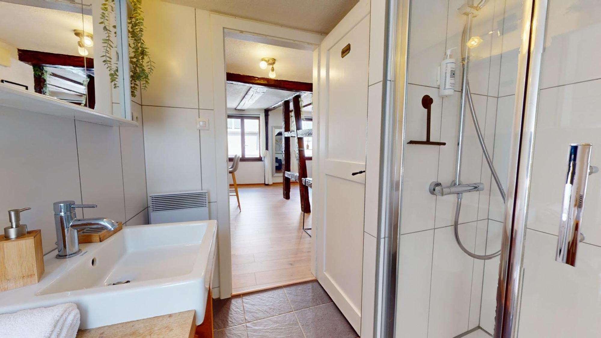 Au Petit Vauban 2 Chambres & Parking Colmar Dış mekan fotoğraf