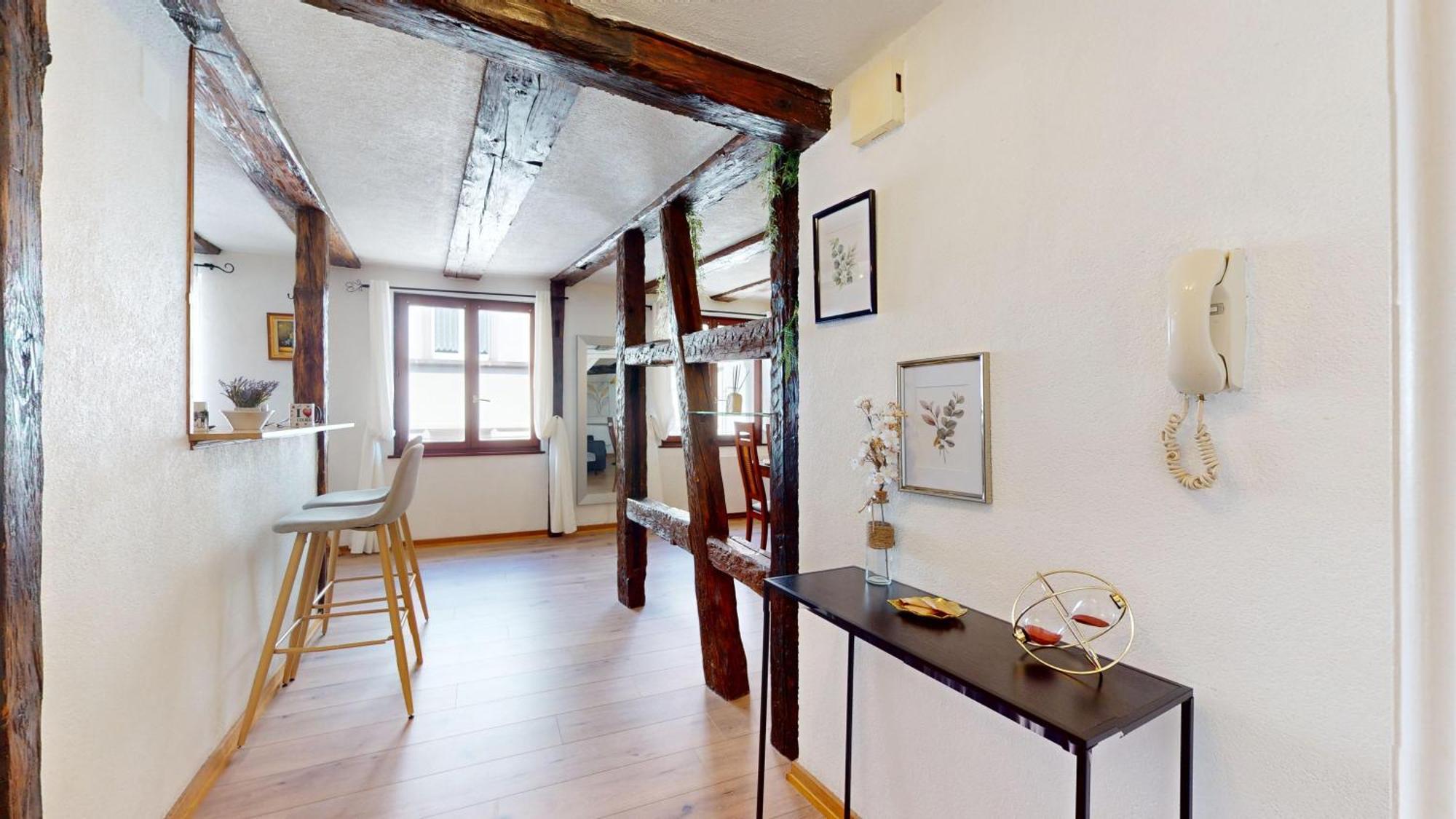 Au Petit Vauban 2 Chambres & Parking Colmar Dış mekan fotoğraf